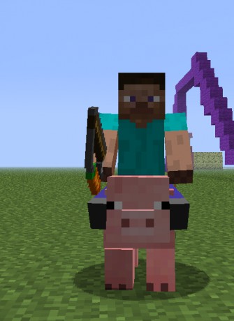 pig rider