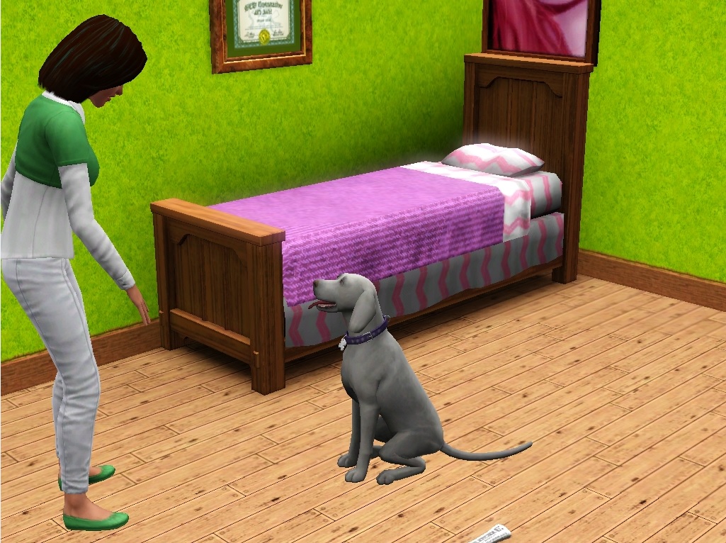 Výmarský ohař The Sims3